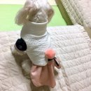 몽실상회 이미지