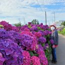 안성리-9 이미지