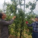 관악농협 이미지