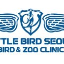 리틀버드서울 버드앤주클리닉 이미지