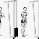 휘트니스오름 모충점 이미지