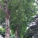 영서동행정복지센터 이미지