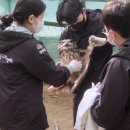 생츄어리 이미지