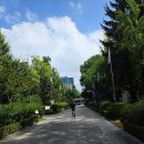훈장명품관 | [공원] 신사동(압구정)의 역사적 의미있는 공원, 도산공원 첫 방문