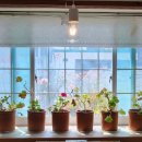 골목나들이 이미지