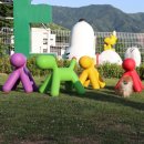 비숑마을펜션 이미지