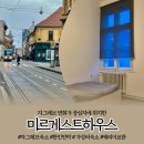 미르민박 이미지