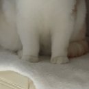 성환약국 | [26年 3月 上] 삐빅 체력이 부족합니다