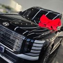 솔라 | 인천 신차패키지, 팰리세이드 LX3 썬팅 추천 솔라가드 티타늄 시공 후기