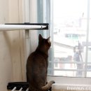 놀재로 이미지
