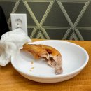 목포 남악 치킨 맛집 &#34;촌닭이두마리&#34; 옛날 통닭 9,000원 후기