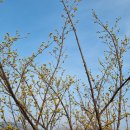 서전주유치원 이미지