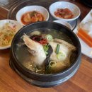 바윗재백숙 이미지