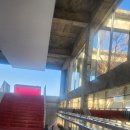 세화안경 | 런던베이글 옆 제주 안경샵｜블루엘리펀트 스페이스 제주 솔직후기