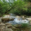 화통한의원 이미지