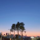 이케아 횡단보도 이미지