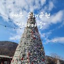 2705 | 대구 겨울에 가 볼 만한 곳 송해공원 산타마을