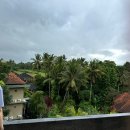 발리 신혼여행 | 에덴하우스 우붓(Eden House Ubud) 숙소 솔직 후기