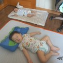 평화더클린 이미지