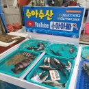 고현수산 이미지