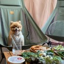 스테이우연 이미지