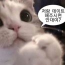 상록수식당 이미지