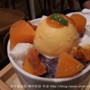 퍼블릭코코 이미지