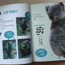 톨랑톨랑 이미지