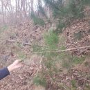 노달래농장 이미지