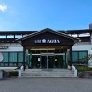 전주 햄스터 | 전주 근교 카페 김제 카페 단짠아쿠아 주말후기