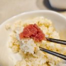 속초 젓갈맛집 독도젓갈 택배 솔직후기