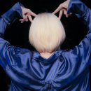 고양이나라 이미지