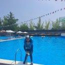 육림풀장 이미지