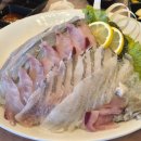 솔바로횟집 | 강릉맛집 사천해변 바로 앞 바다뷰 횟집 강릉 솔바로 횟집 후기(+애견동반)