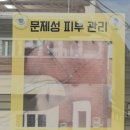 하이버 뷰티 스튜디오