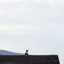 시나브로경주 이미지