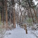 물영아리오름 이미지