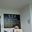미래목장 | 제주도 여행 둘째날(산방산식당/마노르블랑/도치돌알파카목장/이끼숲소길/제주돗)