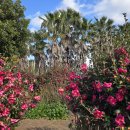 제주생활체육공원 테니스장 이미지