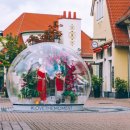 빌리지독 이미지