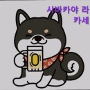 시바카야라카세 | 홍대, 이자카야, 데이트, 추천 시바카야 라카세 홍대 이자카야 추천, 시바카야 라카세의 매력