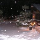 심스캐빈 이미지