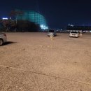 마고포레스트