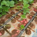 그린레일 이미지