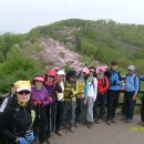 5/6(화) 축령산 서리산 산행기록 이미지