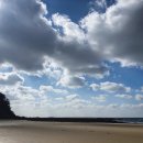 숙이네꼬마김밥 &커피 이미지