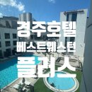 베스트사우나 | 경주여행 여름휴가 가성비 호텔 베스트웨스턴플러스 후기(수영장,사우나,헬스장 있음)