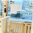 바로펫살롱 이미지