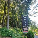 통영 편백숲길 관광농원 이미지