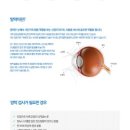 서울늘봄안과의원 이미지